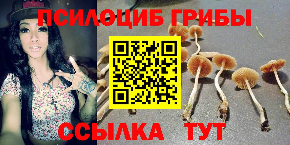 Галлюциногенные грибы Cubensis  Вход с VPN  Псилоцибиновые грибы Magic Shrooms  Родники 
